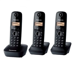 KX-TG1613FXH
